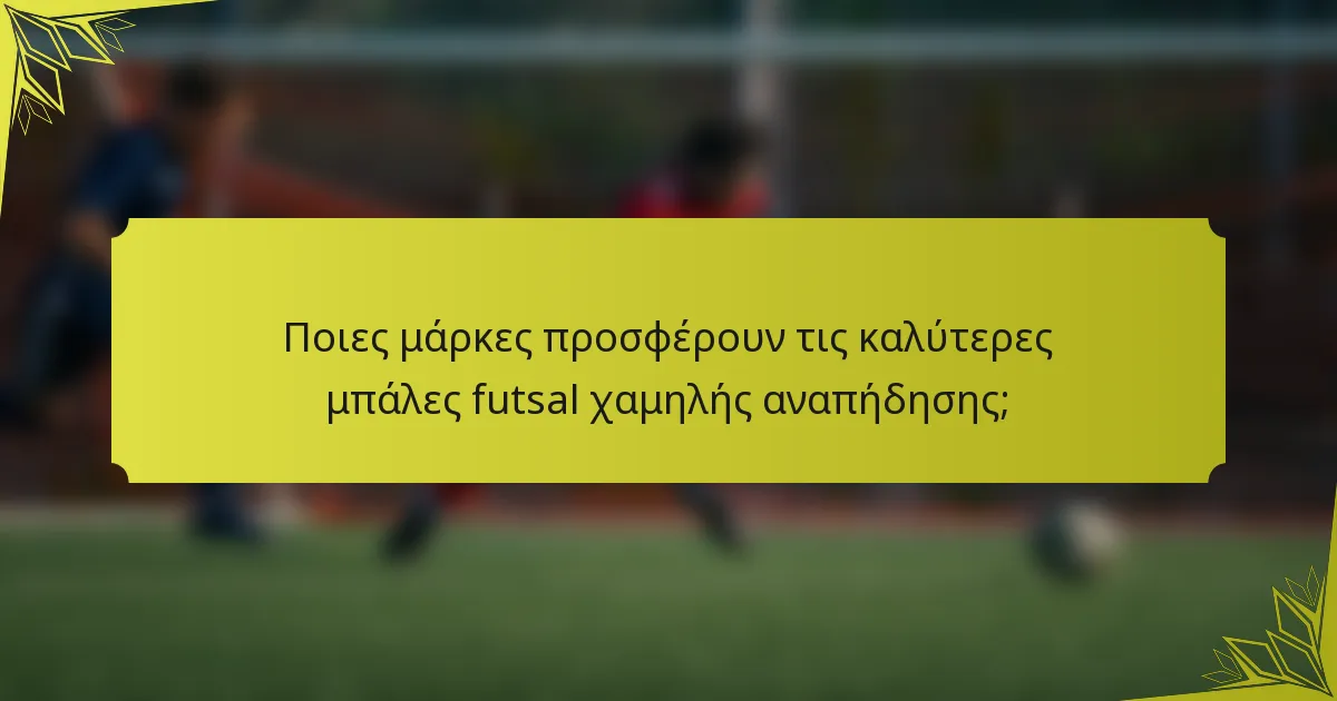 Ποιες μάρκες προσφέρουν τις καλύτερες μπάλες futsal χαμηλής αναπήδησης;