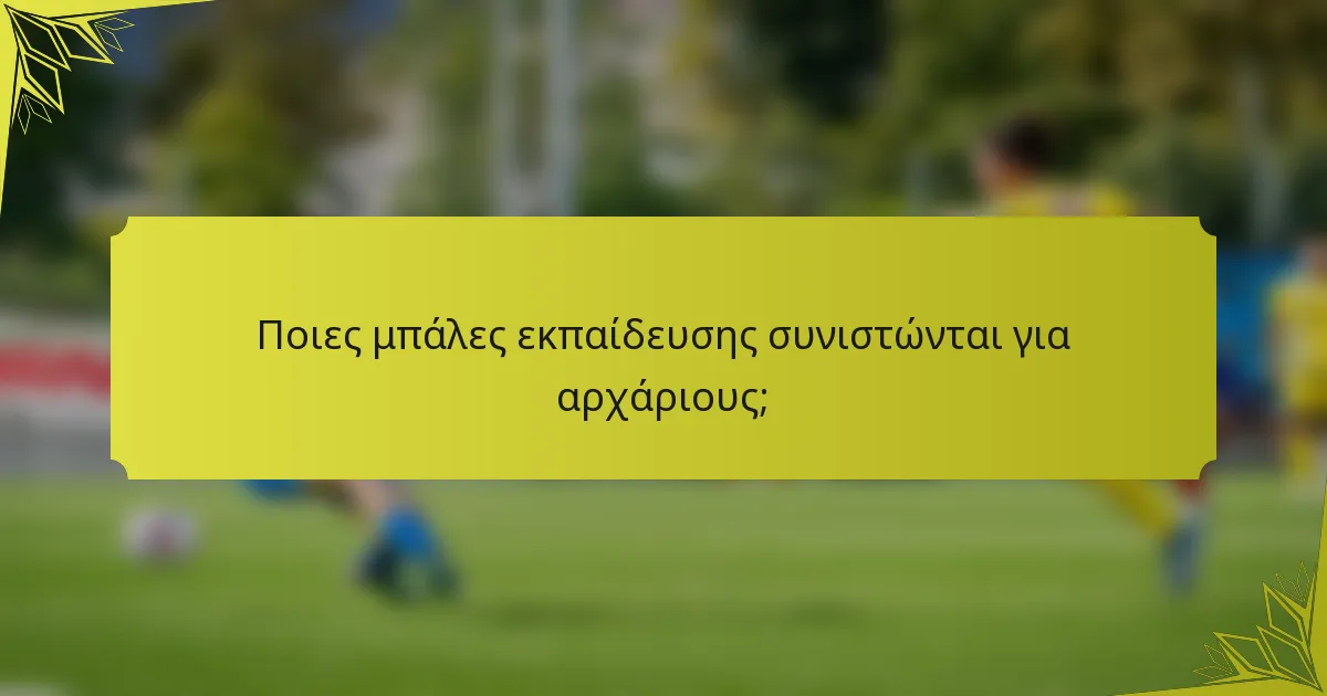 Ποιες μπάλες εκπαίδευσης συνιστώνται για αρχάριους;